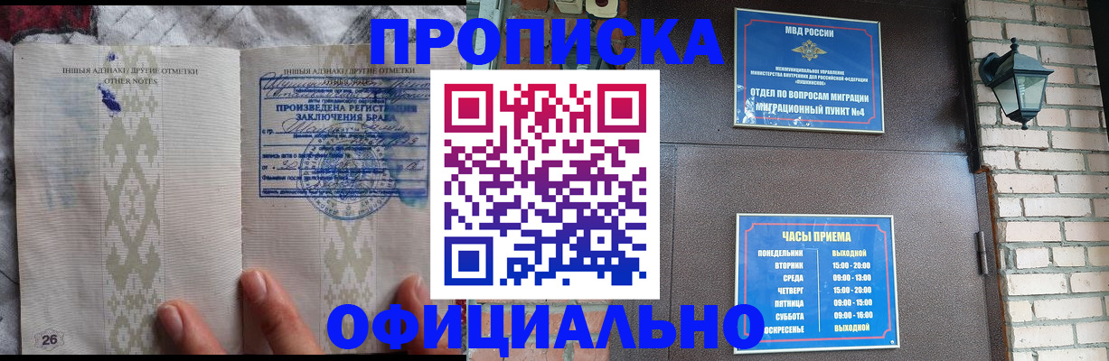 прописка поиск в Курской области
